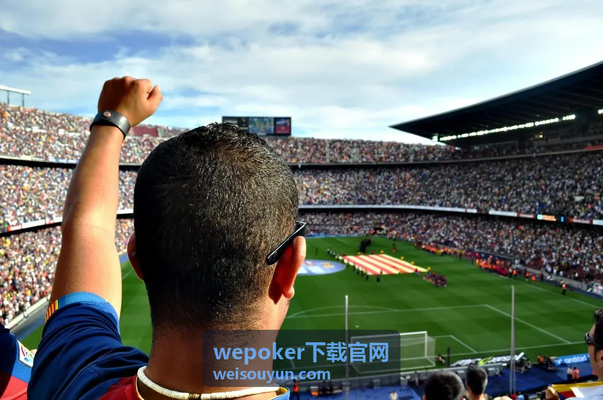 wepoker下载官网新手玩法入门片段封面